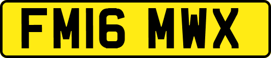 FM16MWX