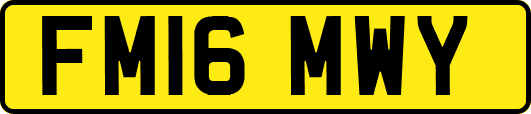 FM16MWY