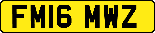 FM16MWZ