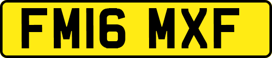 FM16MXF