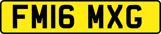 FM16MXG
