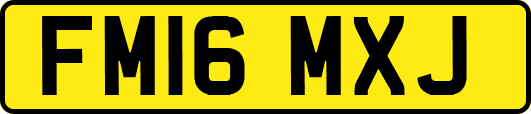 FM16MXJ