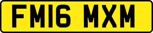 FM16MXM