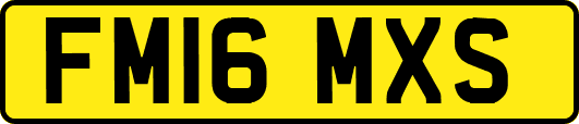 FM16MXS