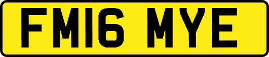 FM16MYE