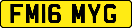 FM16MYG