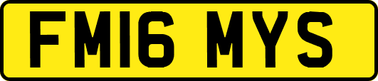 FM16MYS