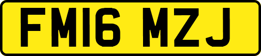 FM16MZJ