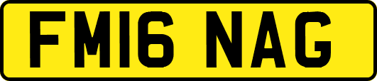 FM16NAG