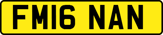 FM16NAN