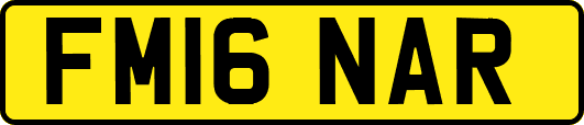 FM16NAR