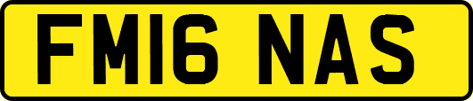 FM16NAS