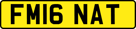 FM16NAT