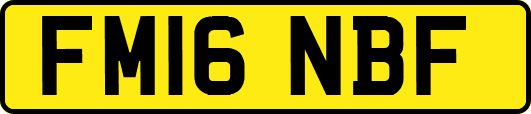 FM16NBF