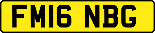 FM16NBG