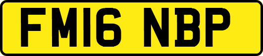 FM16NBP