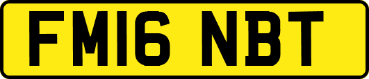 FM16NBT
