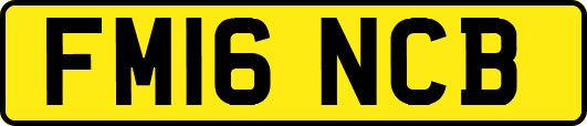 FM16NCB