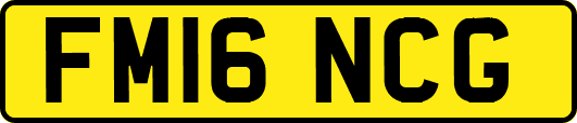 FM16NCG