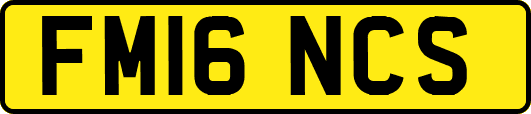 FM16NCS