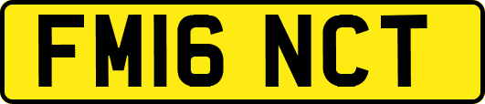 FM16NCT