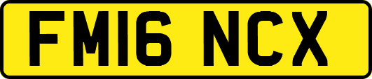 FM16NCX