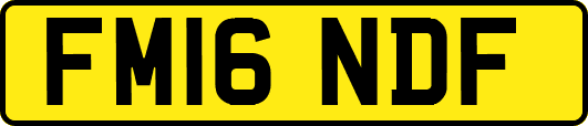 FM16NDF