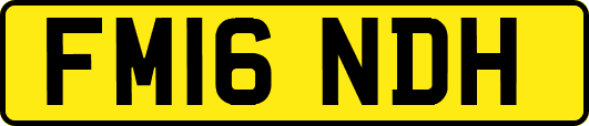FM16NDH