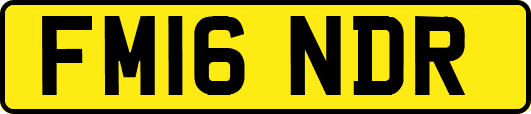 FM16NDR