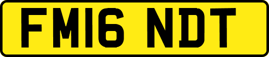 FM16NDT