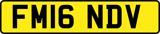 FM16NDV