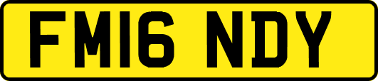 FM16NDY