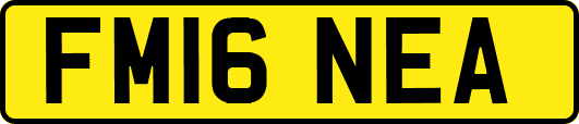 FM16NEA