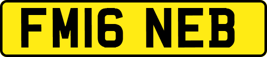 FM16NEB
