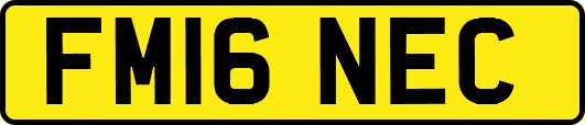 FM16NEC