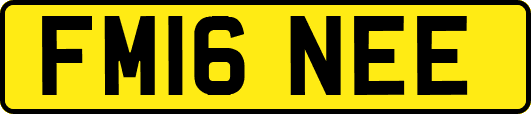 FM16NEE