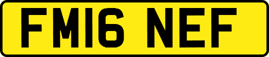 FM16NEF