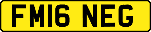 FM16NEG