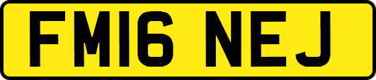 FM16NEJ