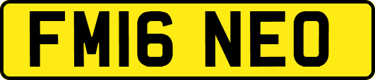 FM16NEO