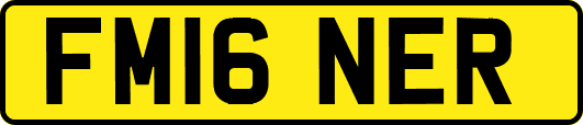 FM16NER