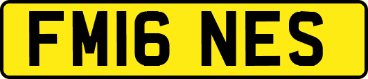 FM16NES