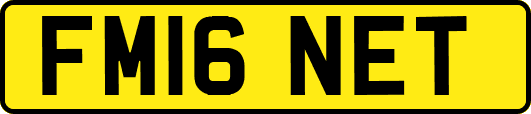 FM16NET