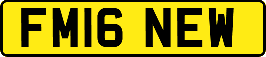 FM16NEW