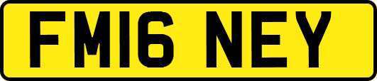 FM16NEY
