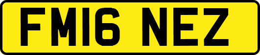 FM16NEZ
