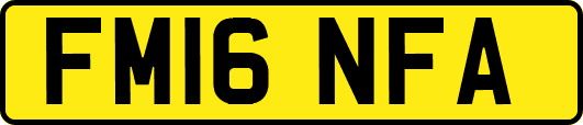 FM16NFA