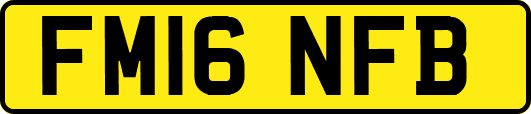 FM16NFB