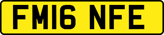 FM16NFE