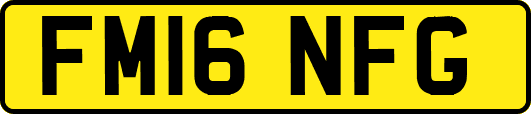 FM16NFG